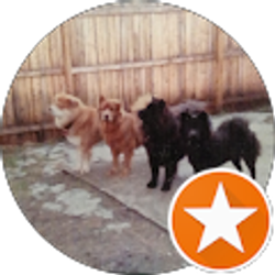 Profile photo of RF Strait