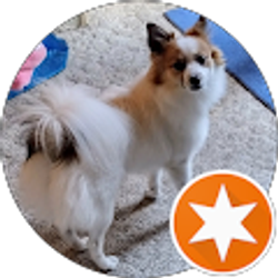 Profile photo of Sheila Young (Sheshe)