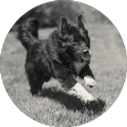 Profile photo of Matt Hoffman