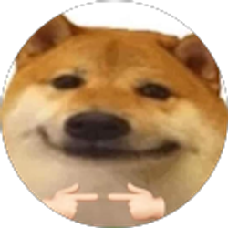 Profile photo of Sinh Chau