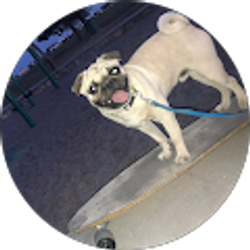 Profile photo of Danielle Castaneda