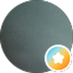 Profile photo of S R