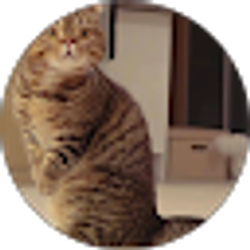 Profile photo of Kendra Jones
