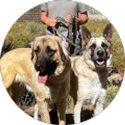 Profile photo of Dwight