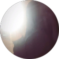 Profile photo of Ashley Ibarra