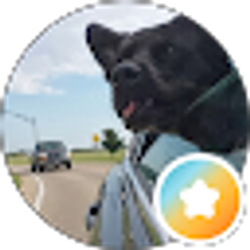 Profile photo of Patrick S