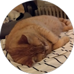 Profile photo of Nancy A Desautels