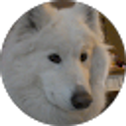 Profile photo of Bruce Teale