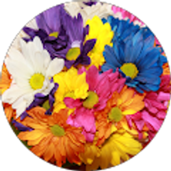 Profile photo of Tracey Lukehart