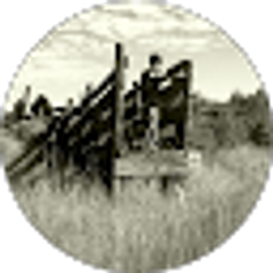 Profile photo of Lou Young