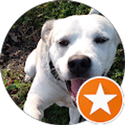 Profile photo of Henry Pressler