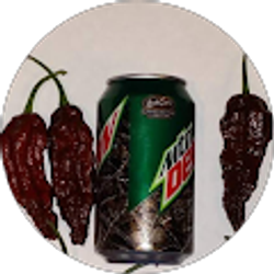 Profile photo of Chili Dogg