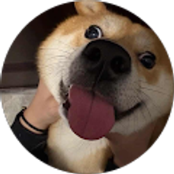 Profile photo of Kane Wilson