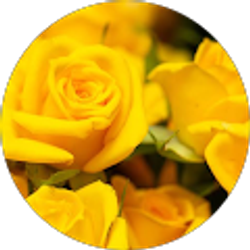 Profile photo of Rhonda Sosnowski