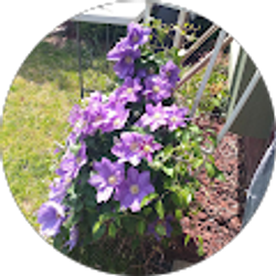 Profile photo of Cindy McElway