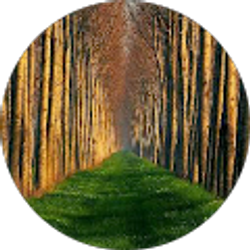 Profile photo of vanessa davis