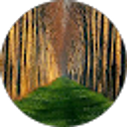 Profile photo of vanessa davis