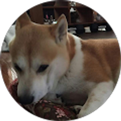 Profile photo of yuzi Hu