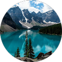 Profile photo of Paul Paicer