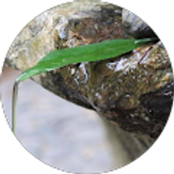 Profile photo of leonie zapata