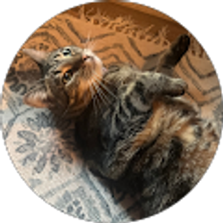 Profile photo of gigi