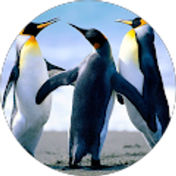 Profile photo of Noemi Pliego