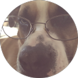 Profile photo of Eric Sobel