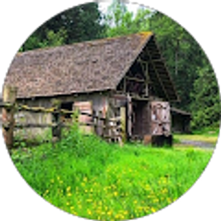 Profile photo of linh nguyen