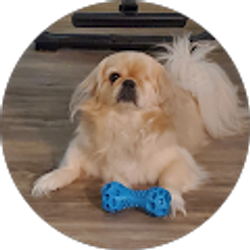 Profile photo of L R