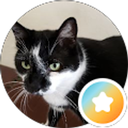 Profile photo of Tia Marie