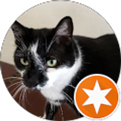 Profile photo of Tia Marie