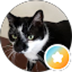 Profile photo of Tia Marie