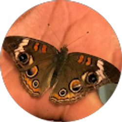 Profile photo of Helene Hoefer