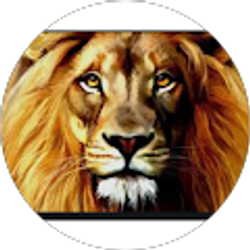 Profile photo of Montreal Washington