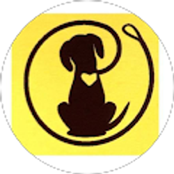 Profile photo of Perfect Solutions