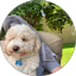 Profile photo of Clint Comish