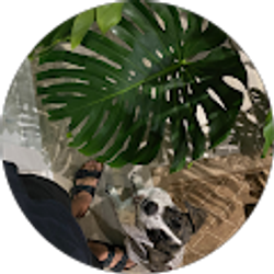 Profile photo of OnlyFoilage