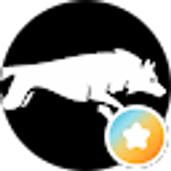 Profile photo of Christian Macz