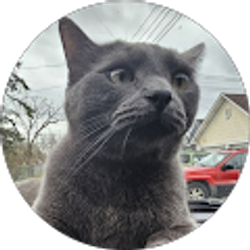 Profile photo of Nick Molpus