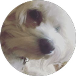 Profile photo of Andy Penaranda