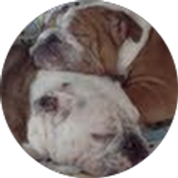 Profile photo of Brenda Weiland