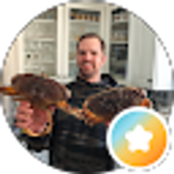 Profile photo of Kevin Krauss