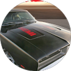 Profile photo of Peter Bilotto