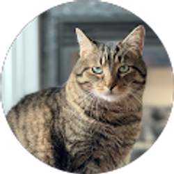 Profile photo of Jennifer Litchfield