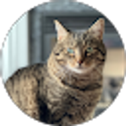 Profile photo of Jennifer Litchfield