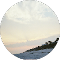 Profile photo of Collin Adcock