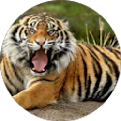 Profile photo of Eddie Long