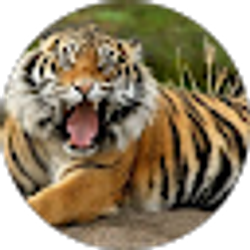 Profile photo of Eddie Long