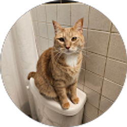 Profile photo of dyamond thompson