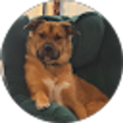 Profile photo of Trenton Waugh
